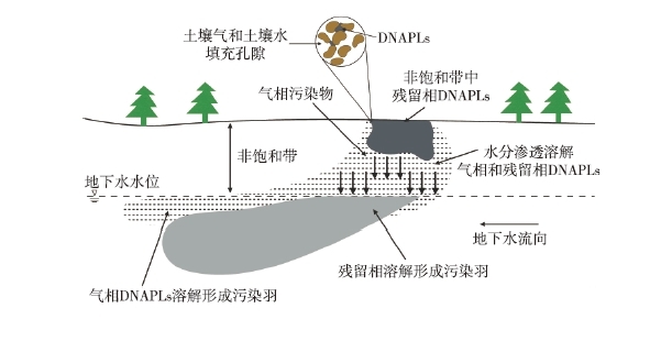 DNAPLs泄漏至地表后，受到重力作用向下遷移